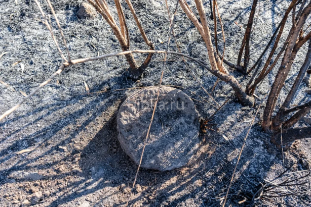 Барабан колонны.png